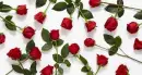 Red Roses