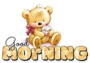 GOOD MORNING ðŸ»