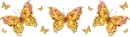 Golden Butterflies