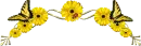 Butterfly Ladybug