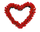 Red Heart
