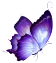 Purple Butterfly
