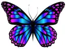 Rainbow Butterfly