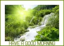 GOOD MORNING