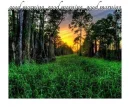 good morning.. good morning.. good morning