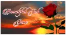 Sunset with a rose - Jane