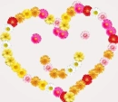 Wildflower Heart