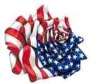 USA Rose