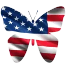 USA Butterfly