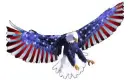 USA Eagle