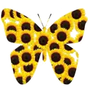 Sunflower Butterfly