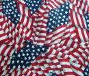 USA Flag