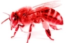 Pink Bee