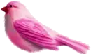 Pink Bird