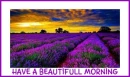 Have a beautifull morning