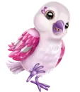 Pink Bird