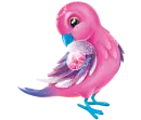 Pink Bird
