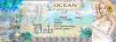Deb -Ocean fb cover