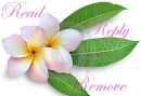 Read Reply Remove