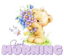 GOOD MORNING ðŸƒðŸŒ¸