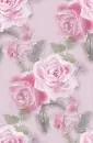 Pink Roses ~ Background