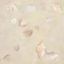 Seashells ~ background