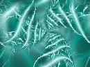 Teal ~ background