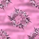 Pink flowers ~ background