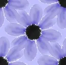 Periwinkle flowers ~ background