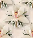 Lily flowers ~ background