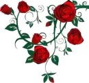 Rose Heart