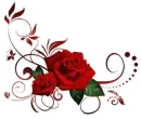 Red Rose