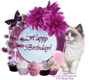 Happy Birthday!