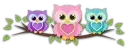 Colorful Owls