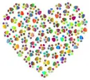 Rainbow Paw Prints