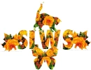 SLWS 