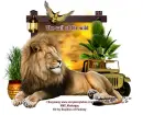 Safari Lion