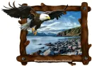 Majestic Eagle in flight