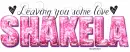 Word art-Dream, leaving you some lov-Shakela