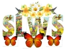 Slws