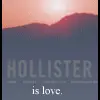 hollister