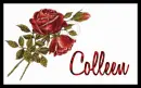 Roses for Colleen