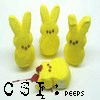 CSI Peeps