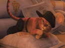 puss in boots