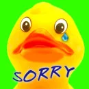 the duck crying