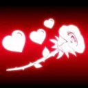 red rose