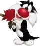 animate cat