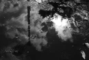Puddle