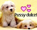 cute dogs