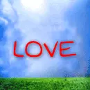 love is in the air